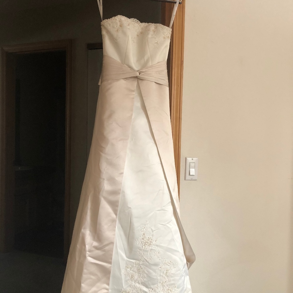 David's Bridal Wedding Dress by Michaelangelo